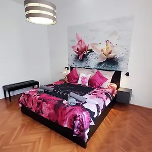 Orchidea In The Centre Apartment Split
